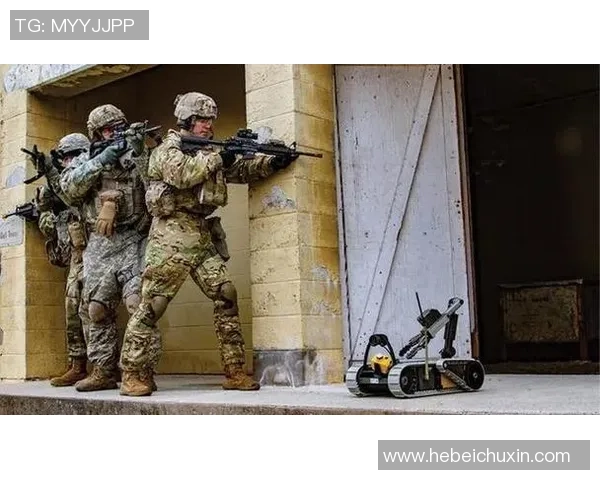 蓝鸟足球崛起之路探索团队精神与战术创新的完美结合 蓝鸟足球崛起之路探索团队精神与战术创新的完美结合