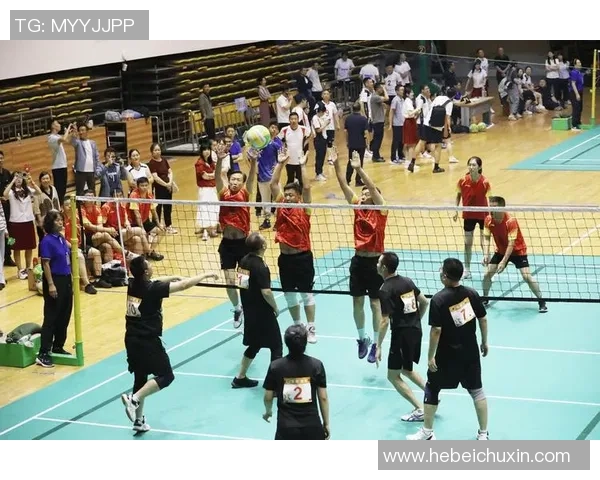 赛后分析：杭州排球队与北京排球队的默契配合与战术对抗全景回顾