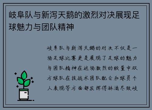 岐阜队与新泻天鹅的激烈对决展现足球魅力与团队精神
