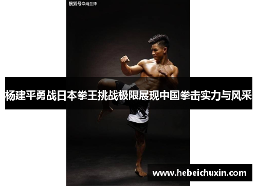 杨建平勇战日本拳王挑战极限展现中国拳击实力与风采