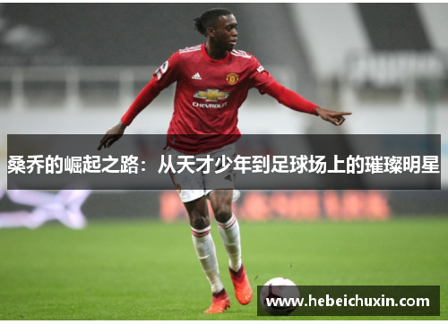 桑乔的崛起之路：从天才少年到足球场上的璀璨明星