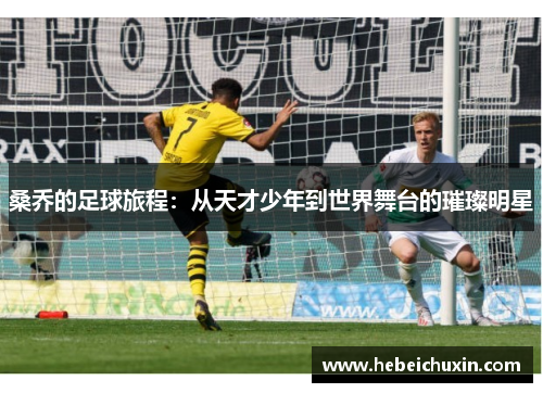桑乔的足球旅程：从天才少年到世界舞台的璀璨明星