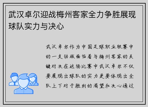 武汉卓尔迎战梅州客家全力争胜展现球队实力与决心
