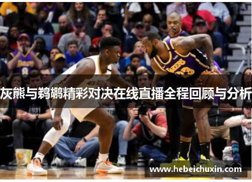 灰熊与鹈鹕精彩对决在线直播全程回顾与分析