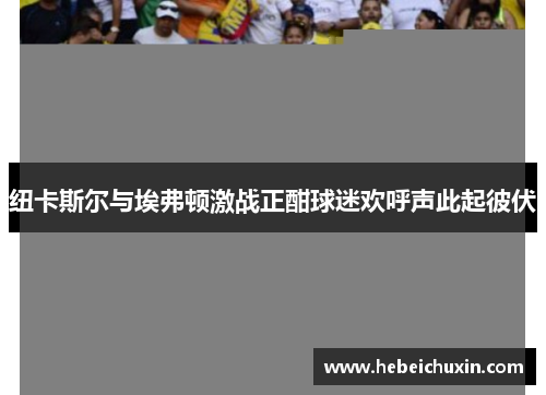 纽卡斯尔与埃弗顿激战正酣球迷欢呼声此起彼伏